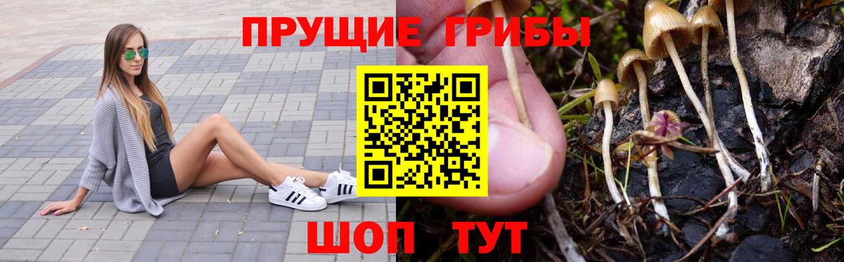 Псилоцибиновые грибы Cubensis  Вход с VPN  купить наркотики цена  Домодедово 