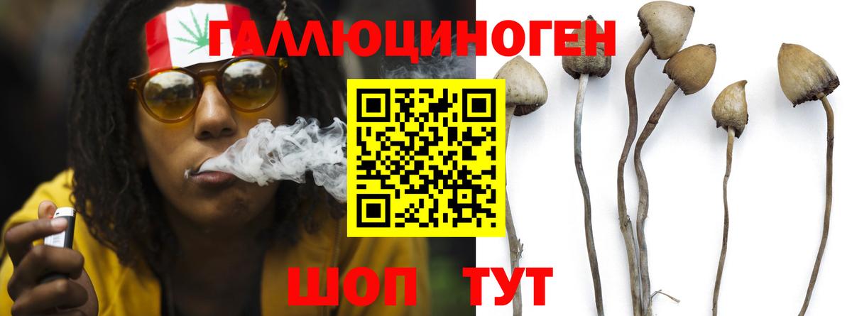 Галлюциногенные грибы GOLDEN TEACHER Домодедово